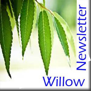 WillowNewsletter
