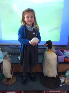 Penguins